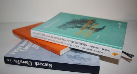 German Books for And Other Stories Reading Groups: Stefan Tobler.